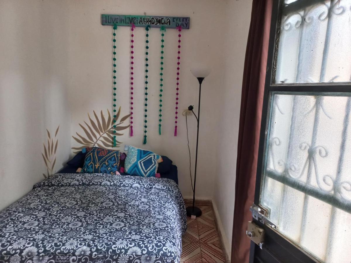 Casa Apapacho Hostel San Cristóbal de Las Casas エクステリア 写真