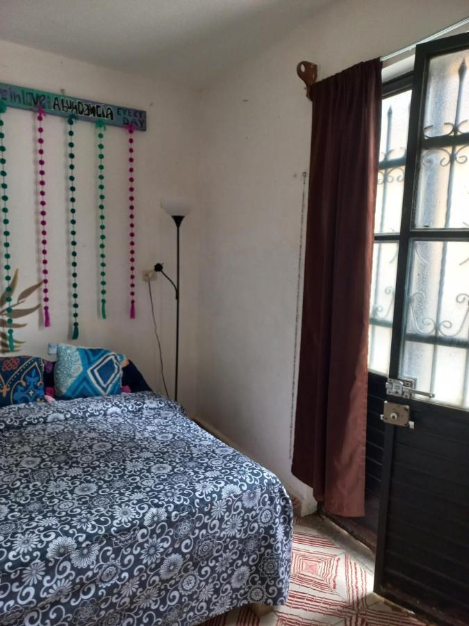 Casa Apapacho Hostel San Cristóbal de Las Casas エクステリア 写真