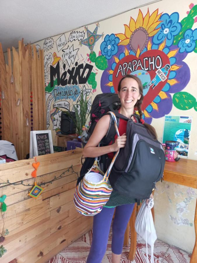 Casa Apapacho Hostel San Cristóbal de Las Casas エクステリア 写真