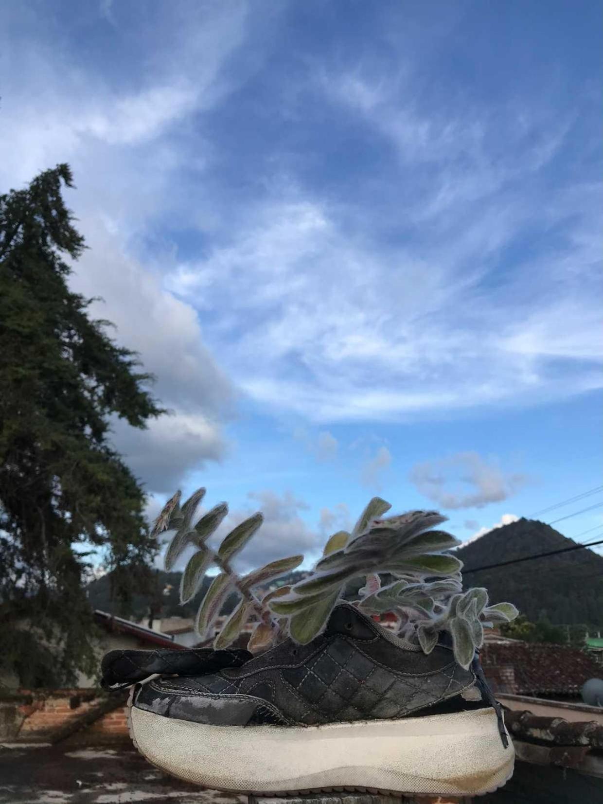 Casa Apapacho Hostel San Cristóbal de Las Casas エクステリア 写真