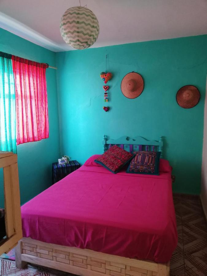 Casa Apapacho Hostel San Cristóbal de Las Casas エクステリア 写真